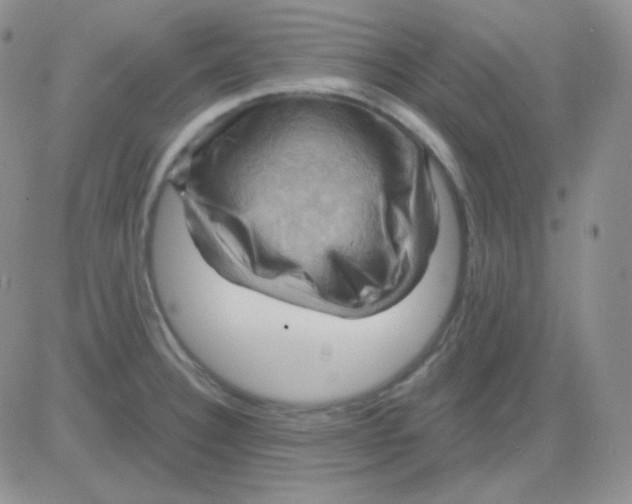 X0000083041332200702231920