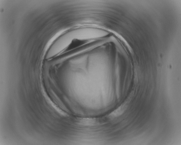 X0000083041333200702231920