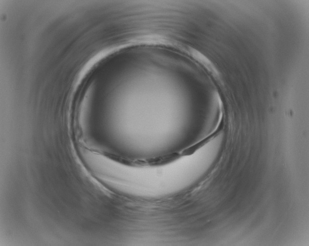 X0000083041334200702231920