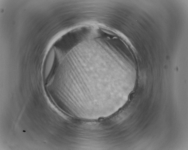 X0000083041335200702231920