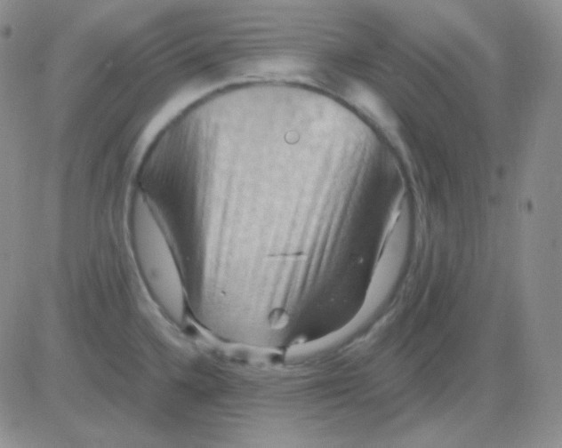 X0000083041336200702231920