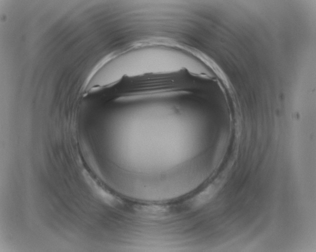 X0000083041337200702231920