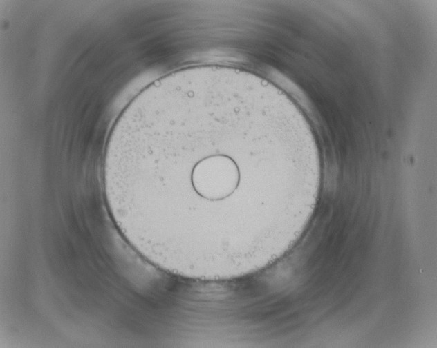 X0000083041338200702231920