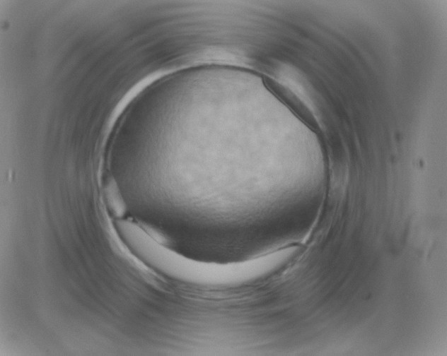 X0000083041339200702231920