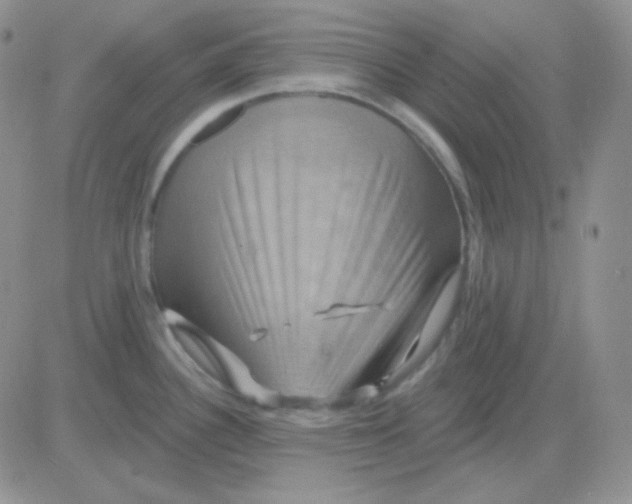 X0000083041340200702231920