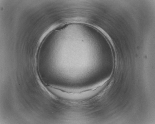 X0000083041341200702231920