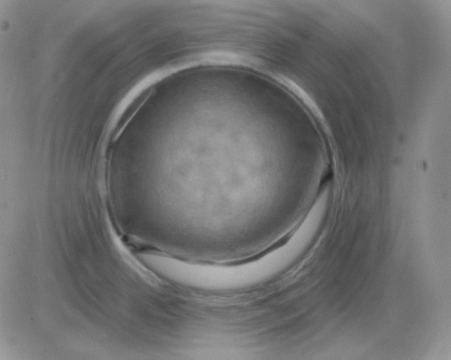 X0000083041342200702231920