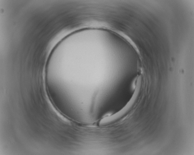 X0000083041343200702231920