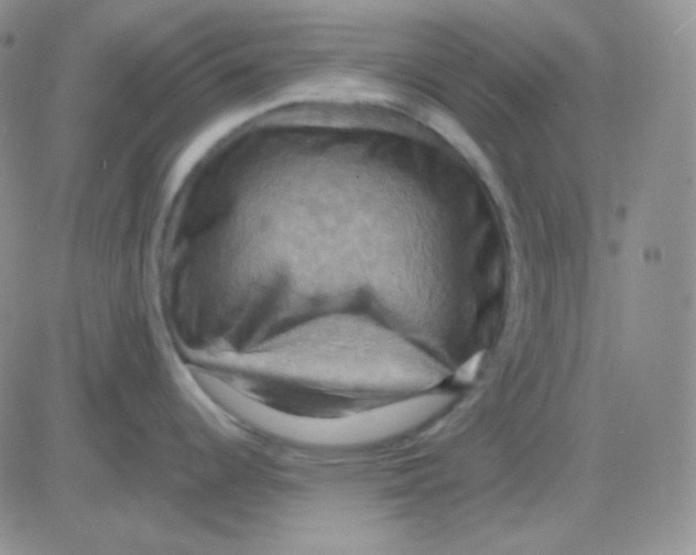 X0000083041344200702231920