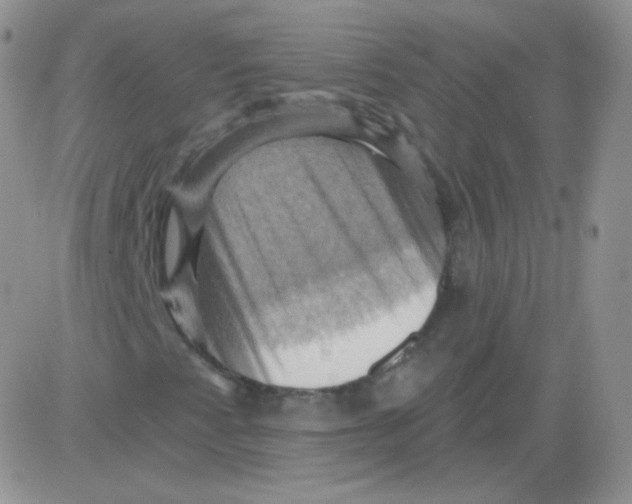 X0000083041345200702231919