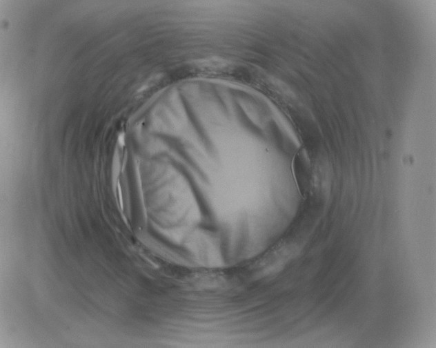 X0000083041346200702231919