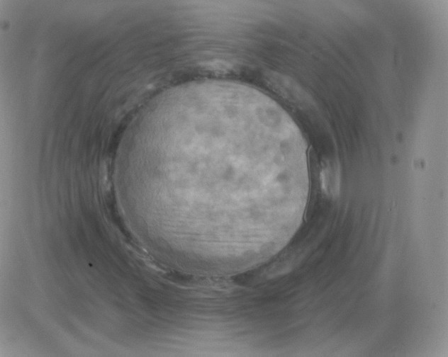 X0000083041347200702231919