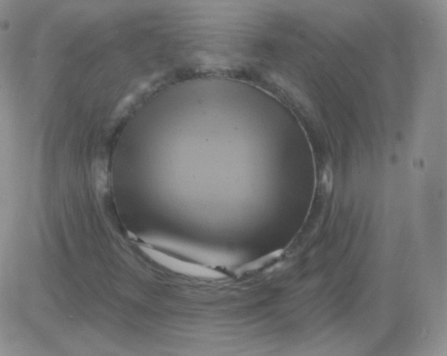 X0000083041348200702231919