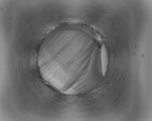 X0000083041349200702231919