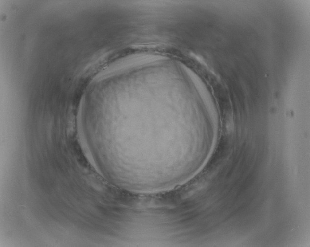 X0000083041350200702231919