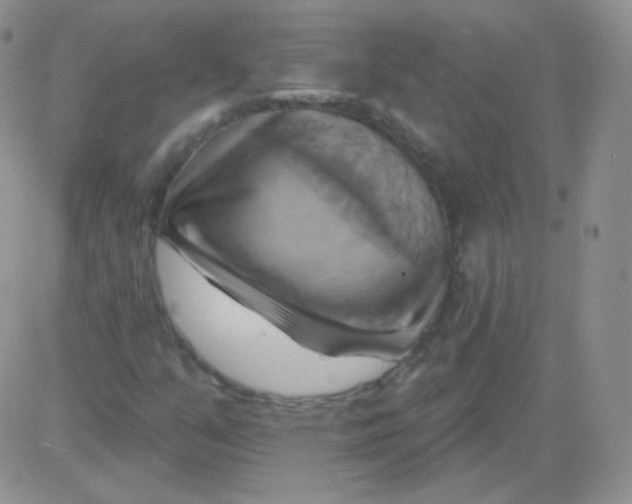 X0000083041351200702231919