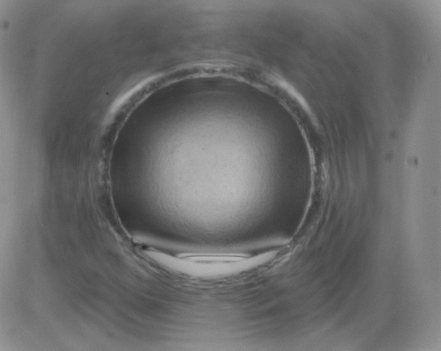 X0000083041352200702231919