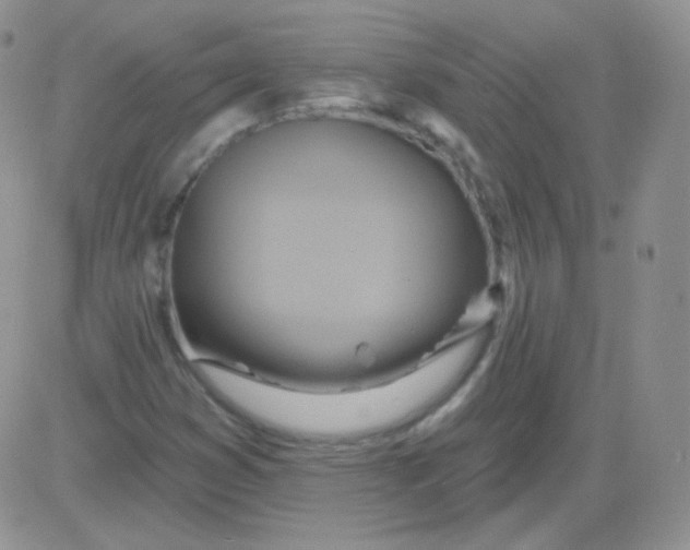 X0000083041353200702231919