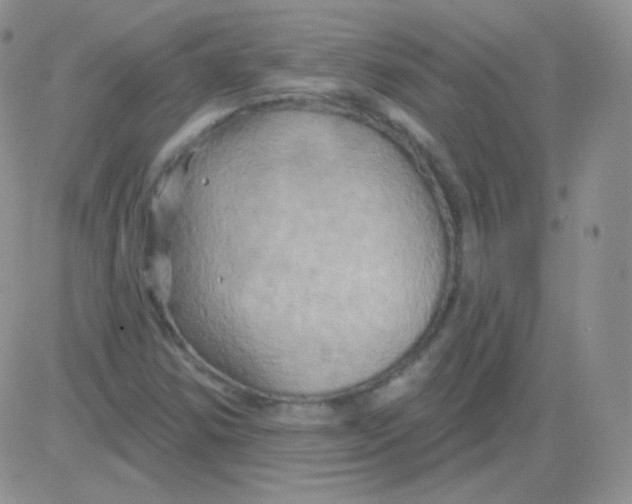 X0000083041354200702231919