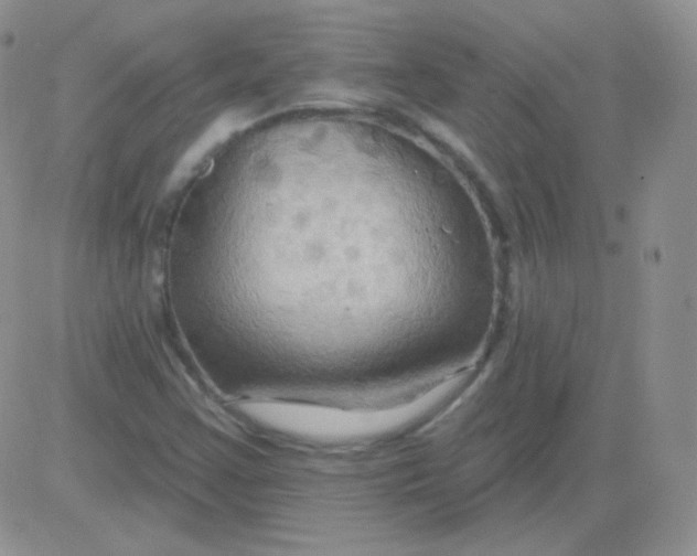 X0000083041355200702231919