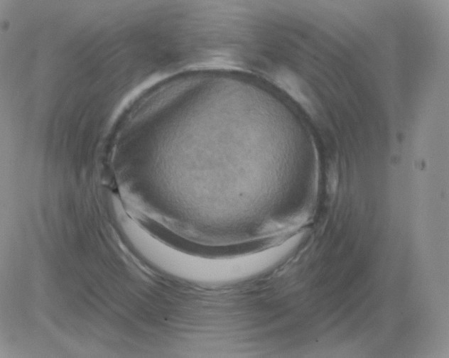 X0000083041356200702231919