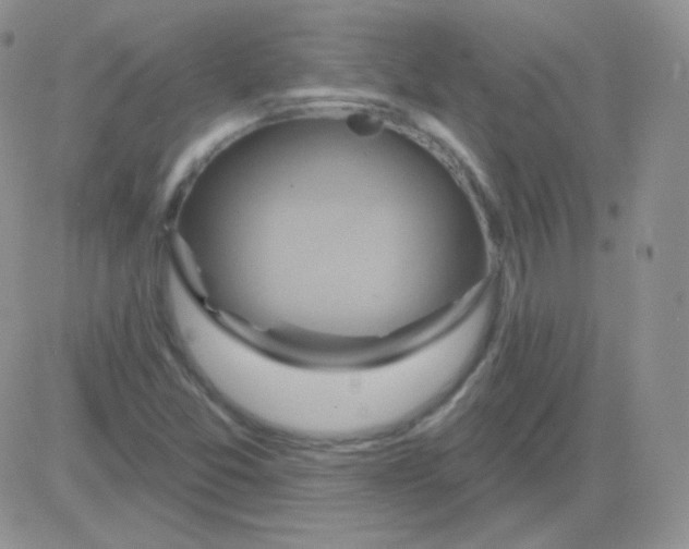 X0000083041357200702231919