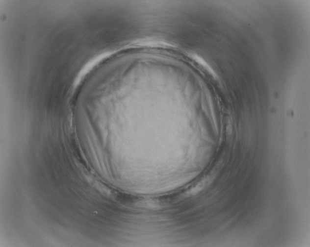 X0000083041358200702231919