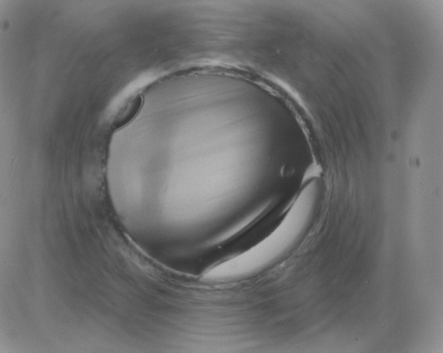 X0000083041359200702231919