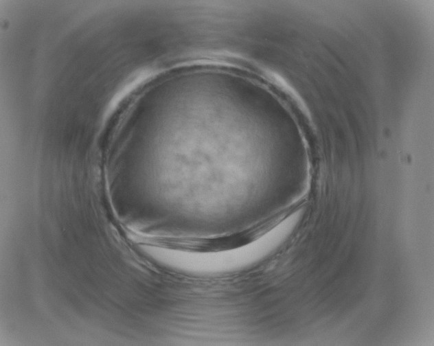 X0000083041360200702231919