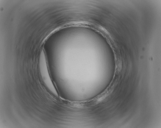 X0000083041361200702231919