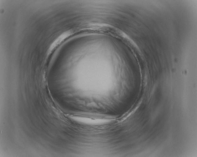 X0000083041362200702231919