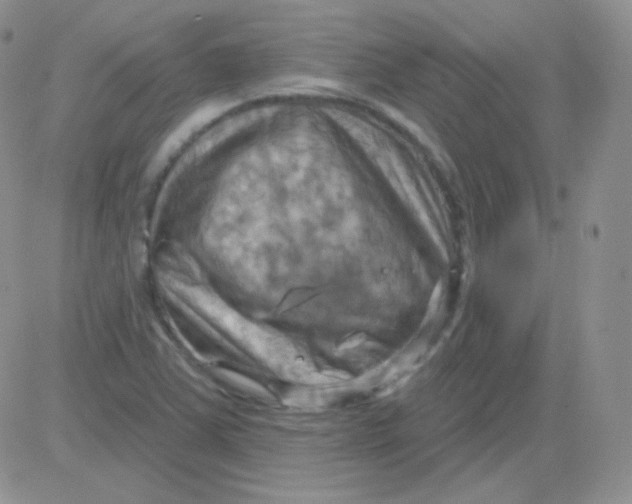 X0000083041363200702231919