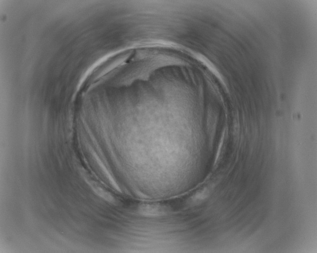 X0000083041364200702231919