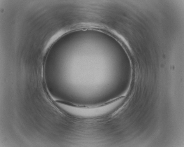 X0000083041365200702231919