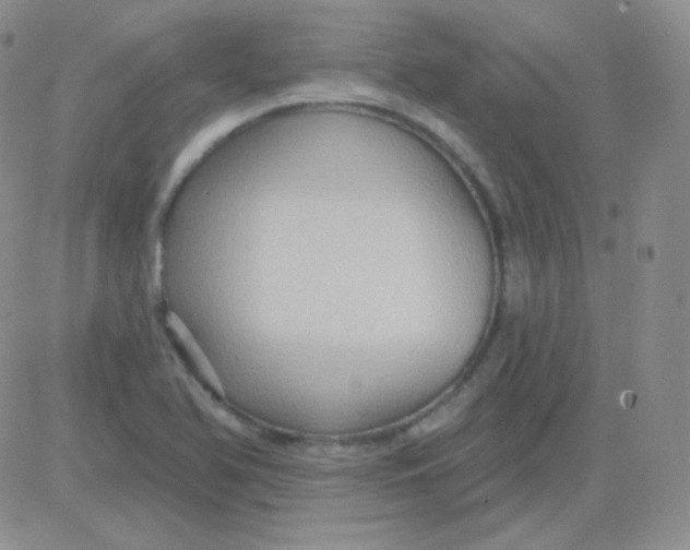 X0000083041366200702231919