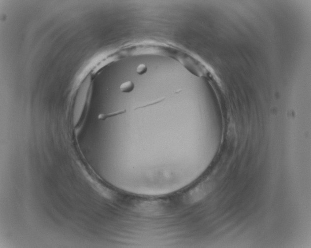 X0000083041367200702231919