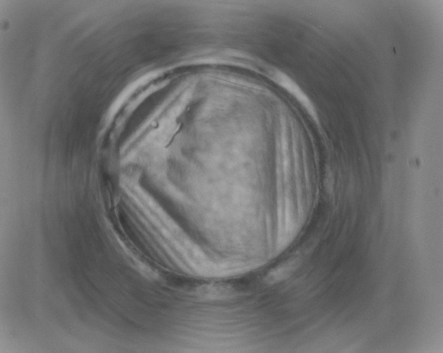 X0000083041368200702231919