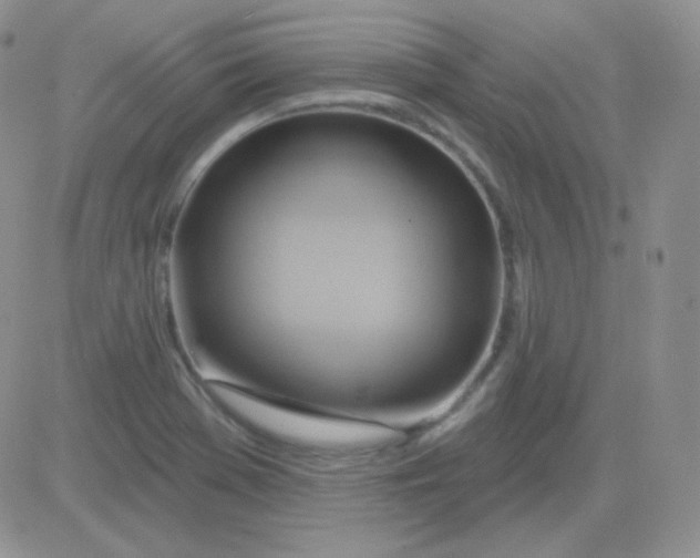 X0000083041369200702231919