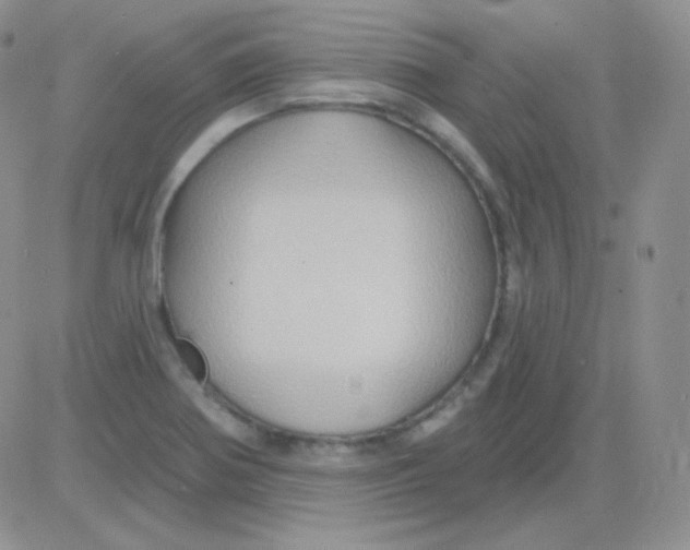 X0000083041370200702231919