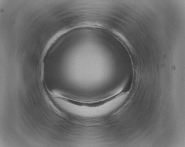 X0000083041371200702231919