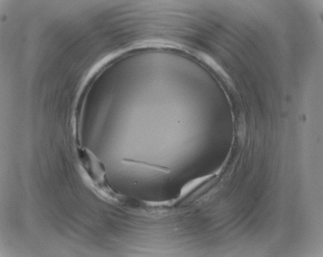 X0000083041372200702231919