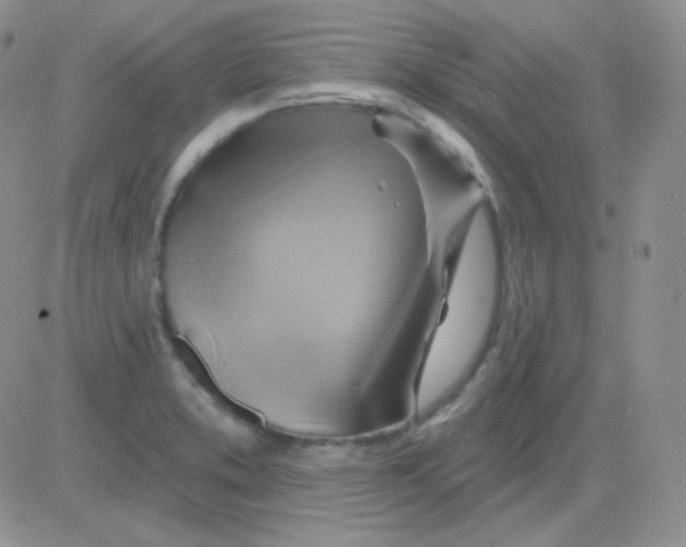 X0000083041373200702231919