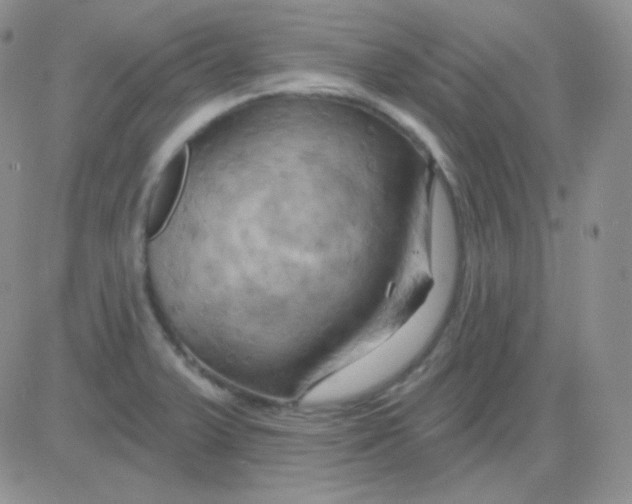 X0000083041375200702231919