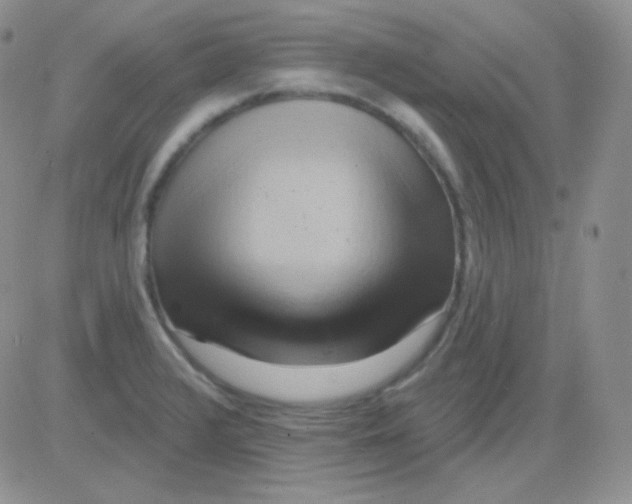 X0000083041376200702231919