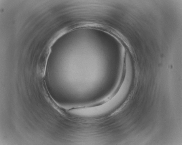 X0000083041377200702231919