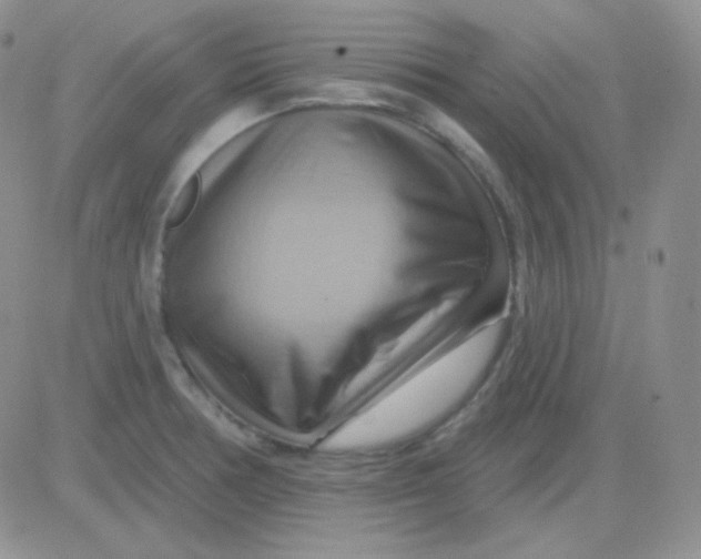 X0000083041378200702231919