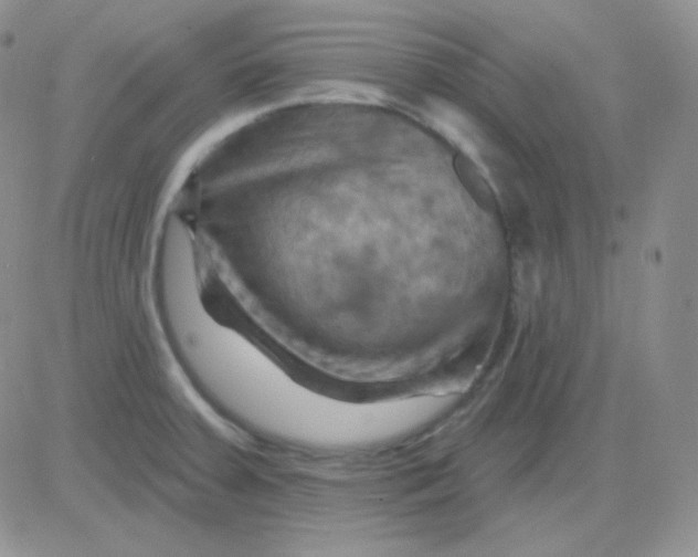 X0000083041379200702231919