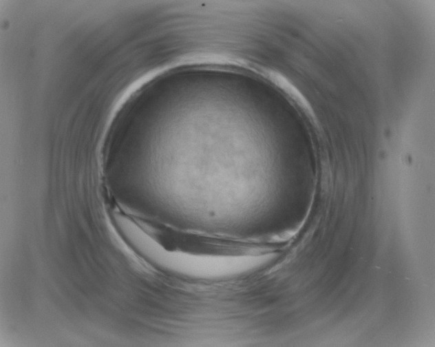 X0000083041380200702231919