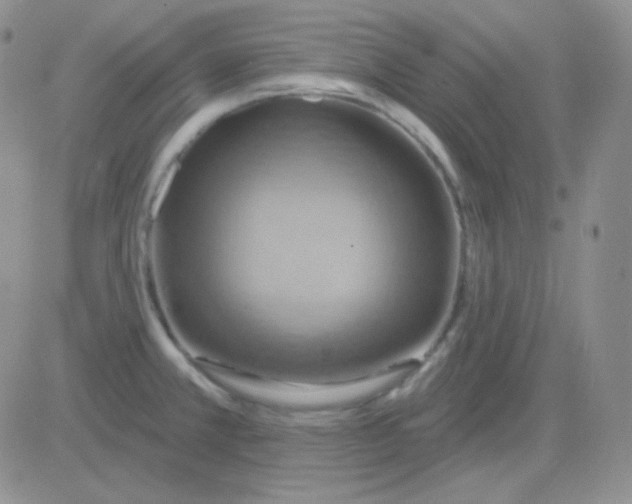 X0000083041381200702231918