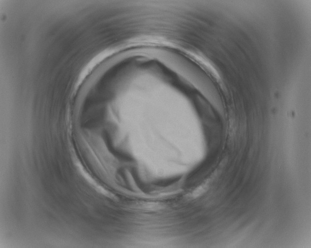 X0000083041382200702231918